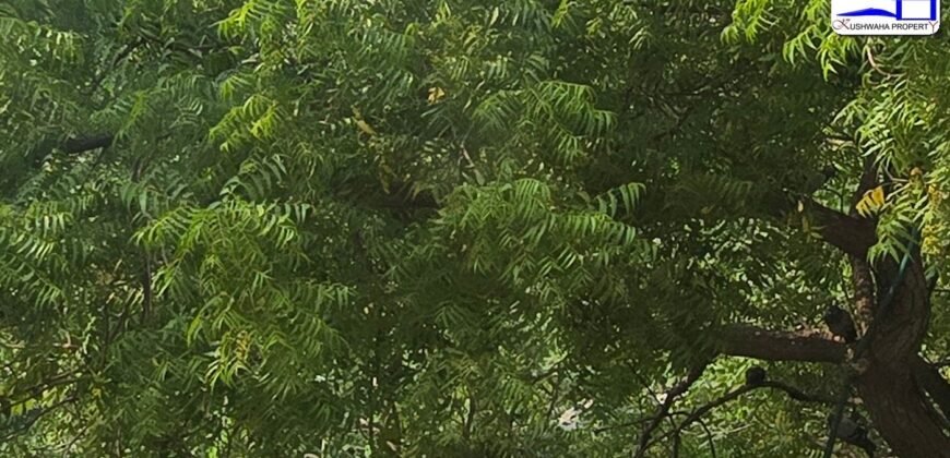 3 BHK Duplex Flat for Sale in Trilok Apartment, IP Extension, Patparganj, Delhi