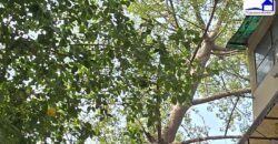 3 BHK Duplex Flat for Sale in Trilok Apartment, IP Extension, Patparganj, Delhi