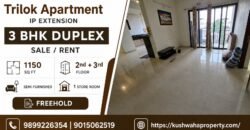 3 BHK Duplex for Sale in Trilok Apartment, IP Extension