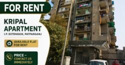 I.P. Extension, Patparganj, 2 BHK Rental Flat in Kripal Apartment