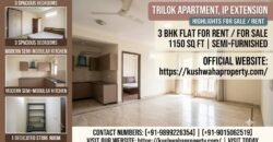 3 BHK Freehold Flat for Sale in Trilok Apartment, IP Extension