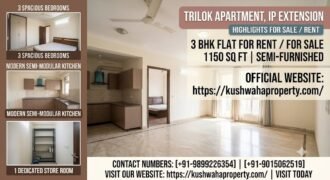 3 BHK Freehold Flat for Sale in Trilok Apartment, IP Extension