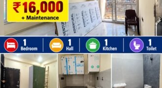 1 BHK Independent Builder Flat for rent in IP Extension, Delhi